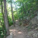 용현자연휴양림 이미지