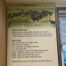 함평흑염소 이미지