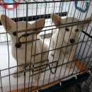 검단산로 이미지