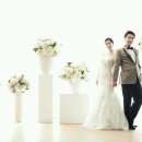 성원 Daum카페