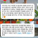 킨다릴리 이미지