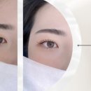 벨로브