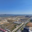 송도바이오대로 이미지