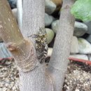 하우리농장 이미지