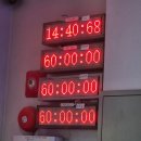 피그로드 | 742. 피그 PIG / 쇼룸404 / 홍대 합정역 상수역 방탈출 / 공포 스릴러 추격 테마