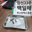 33주차 임산부 백일해주사 가격 부작용 시기 예약 한국건강관리협회 수원 접종후기 (부스트릭스)