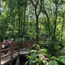 6월30일(일)의왕 바라산 자연휴양림 산책길 이미지