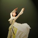 Traditional 이미지