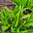 금무리농장 이미지