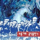 꽃다지 앞 이미지