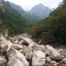 바우골 이미지