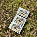 주식회사조원 | 이랜드크루즈 한강 유람선 탑승 후기 도심 속 포토 크루즈데이 후지필름