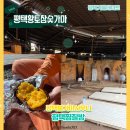 평택참숯가마 | 평택찜질방 평택황토참숯가마에서 겨울실내데이트 코스