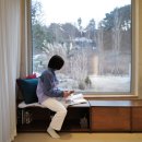 그로브동산 이미지