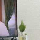 2024 너무 바빠서 늦게쓴 6월의 민 day