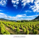 황산공원 축구장 이미지