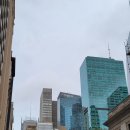 (주)비오엑스 Daum카페