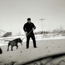 징베 카카오 검색결과