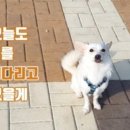 동석농장 이미지