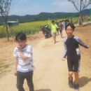 고제초등학교 이미지