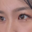 안경나라위드렌즈 이미지