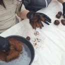 발렌타인데이 특강 초콜릿 만들기 이미지