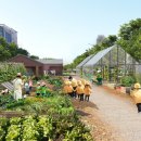 국회대로 이미지