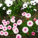 회기어린이집 이미지