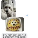 부장이네수제간식