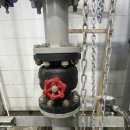 리스체크 이미지