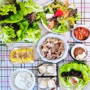 입맛 찾아올 건강담은 식재료 아쿠아포닉스 친환경 무농약 유러피안봉채소 추천