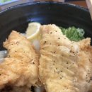 EG투어버스 G코스 | 겨울(12월) 3박 4일 일정, 예산, 추천 식당, 추천 코스, 나고야 여행 팁(나고야, 시라카와고, 다카야마...