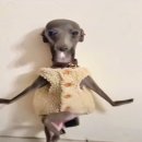 SL GYM | 템추(아이템추천이라는뜼)