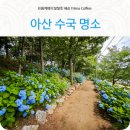 이화피닉스요양병원 | 아산 수국 명소 찾은 이화피닉스요양병원
