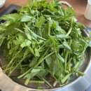 샤브랑 고기랑 | 듬뿍 들어가서 속이 편한 부대찌개 맛집 소사미나리샤브랑부대랑 | 부천 맛집 추천 | 소사역 맛집 추천...