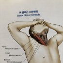 스트레칭포인트 네이버블로그