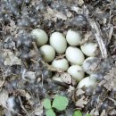 송정더드림4 이미지