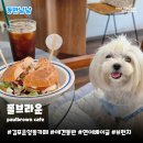김포운양동카페 폴브라운 | 애견동반가능 연어 베이글 파니니 브런치 맛집 재방문 후기
