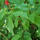 남순천의원 이미지