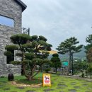 파인그로브 이미지