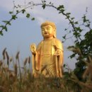 영남불교대학 앞 이미지