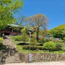 영지솥밥