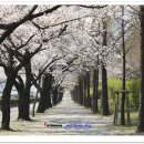 창원대로 이미지