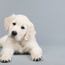 하이 동물병원 이미지