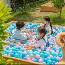 옷드림 | 공주 파크오브드림 글램핑 직접 후기 대전 근교 계곡 캠핑장 추천 9만원대 가성비 정리