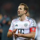 덴포인트 이미지