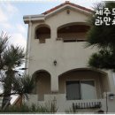 비양도 봄날 민박 이미지