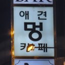 목동 애견카페 카페멍 서울 반려견 놀이터 유치원 호텔까지