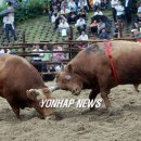 한밭축산 이미지