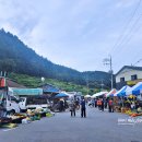 통리장 코스 이미지